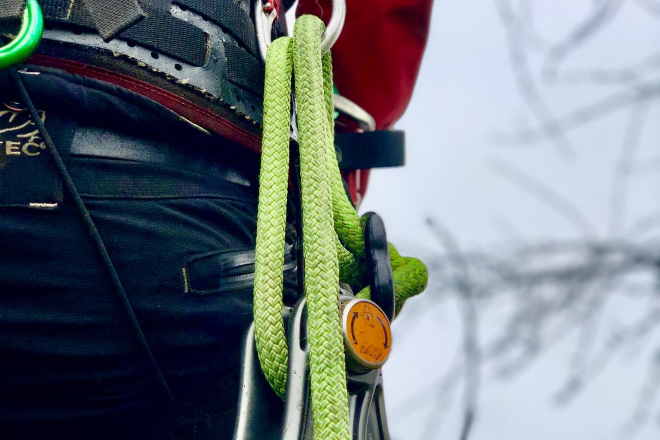 Tree Surgery Aerial Training Courses