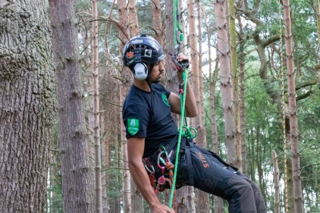 CS38 Tree Climbing & Aerial Rescue Tree Surgeon Course