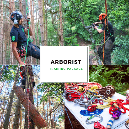 Arborist Training Package Tree Surgeon Course