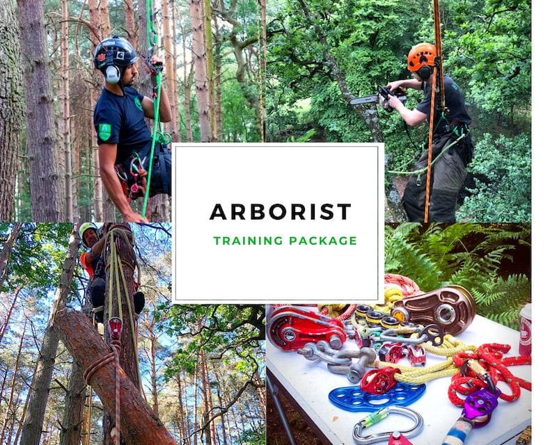 Arborist Training Package Tree Surgeon Course