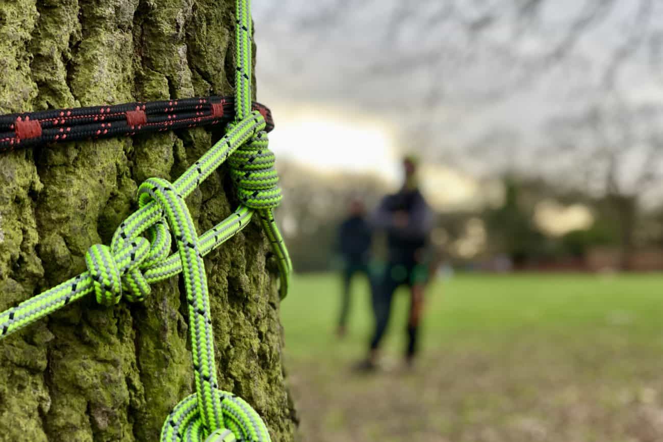 Stationary Rope Technique Tree Surgeon Course