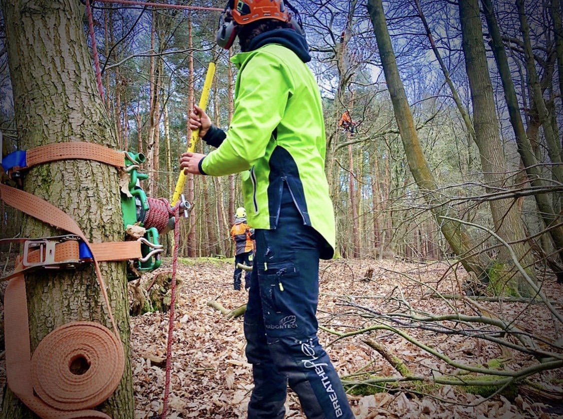 CS41 Advanced Aerial Tree Rigging Course