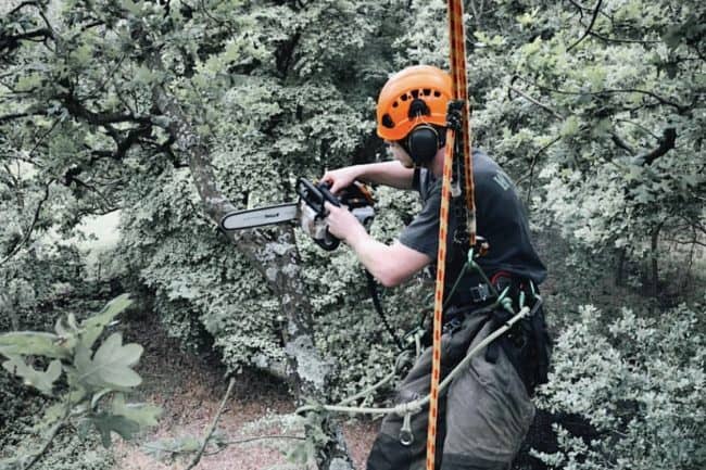 CS39 Aerial Cutting Tree Surgeon Course