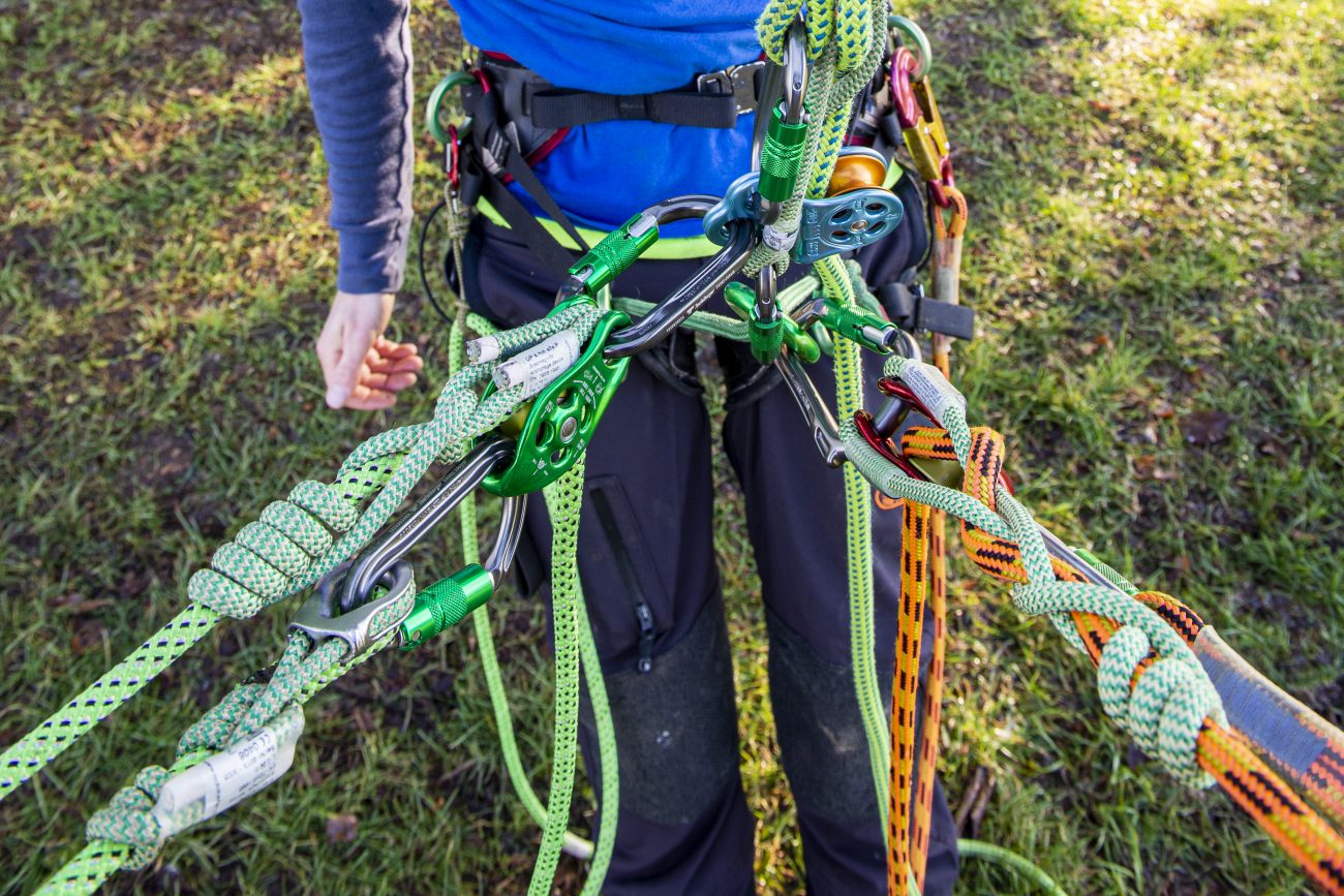 Arborists Knots Workshop