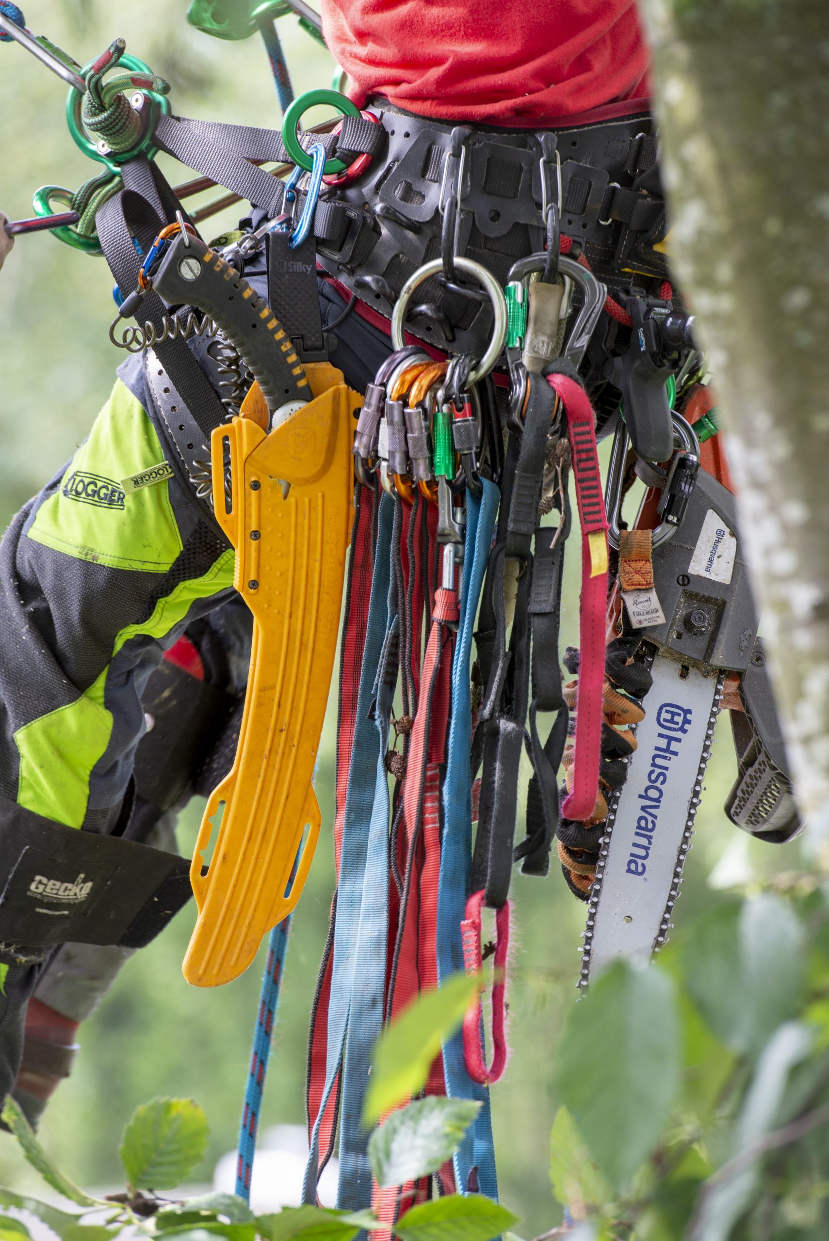 Advanced Arborist Training