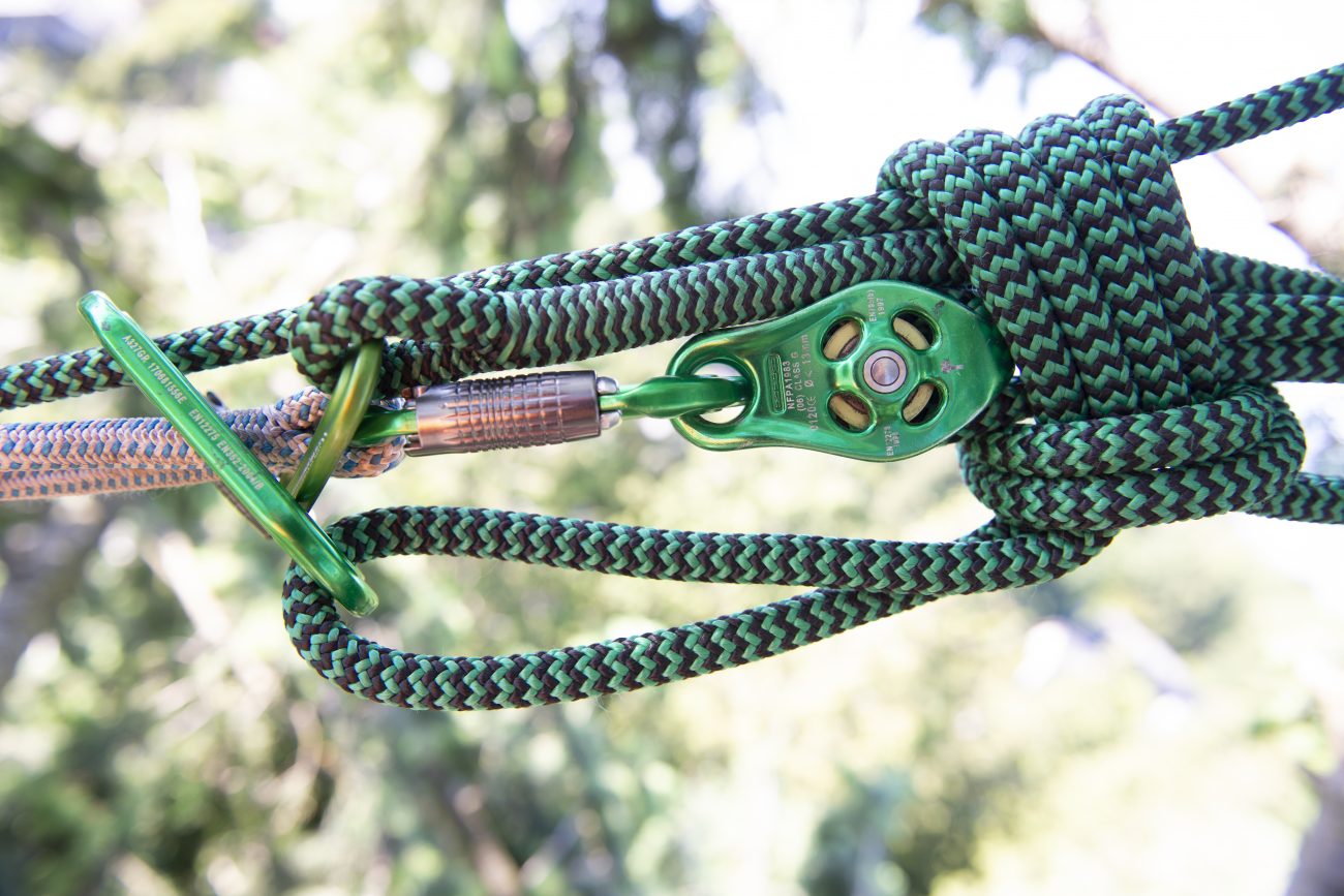 Advanced Arborist Training