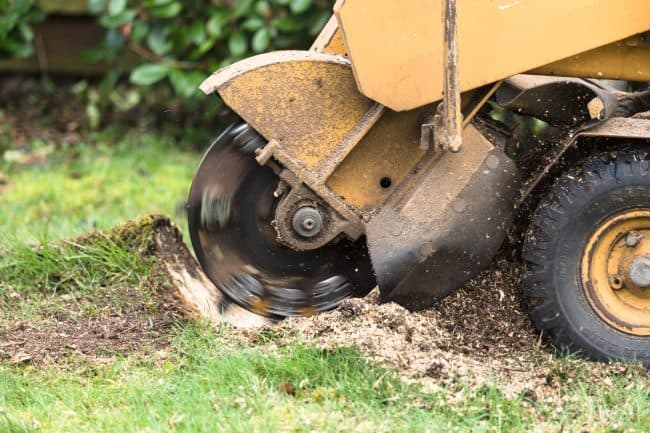 Stump Grinder Training Course