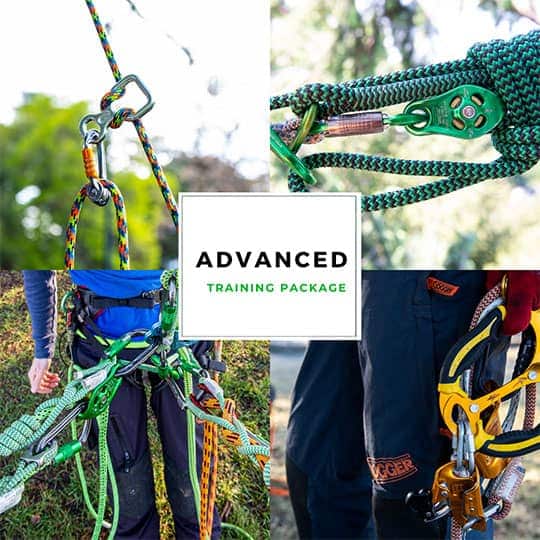 Advanced Training Package Tree Surgeon Course