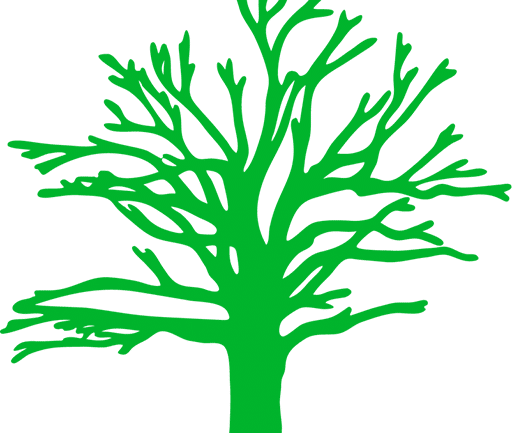 Tree Surgery Aerial Training Courses