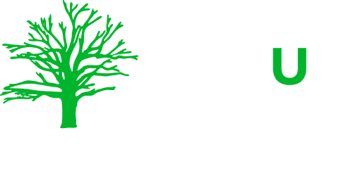 Tree Surgery and Forestry Training
