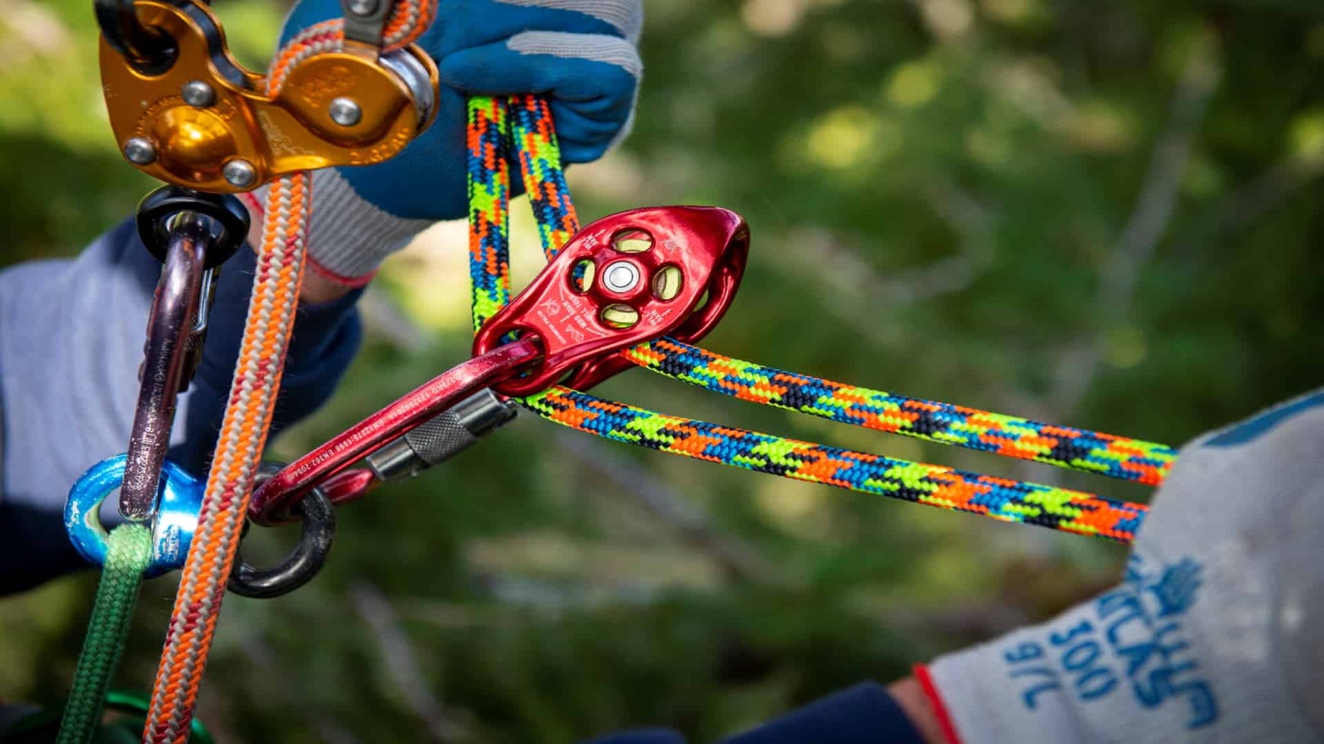 Tree surgery training setup demonstrating advanced climbing and rigging techniques with colorful ropes and pulleys.