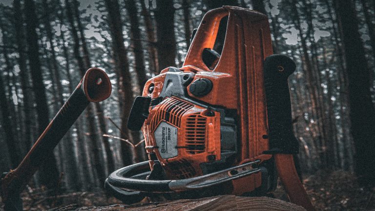 Chainsaw used for tree surgery training in a woodland setting