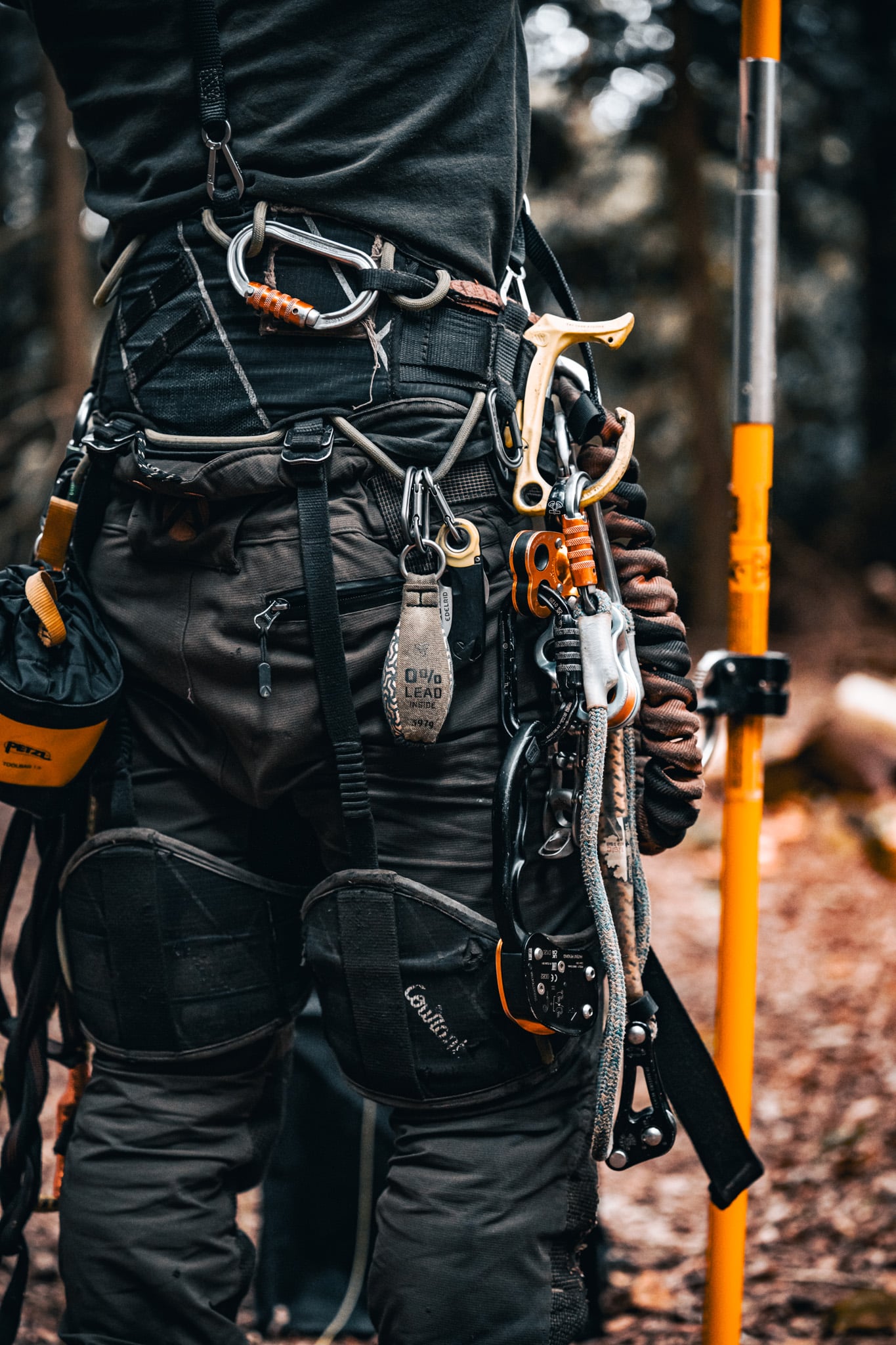 CS38 Tree Climbing & aerial Rescue Course Ground Up Training