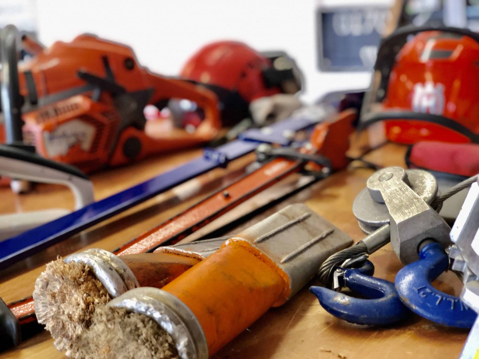 CS30/31 Ground Based Chainsaw Operator Tree Surgeon Course