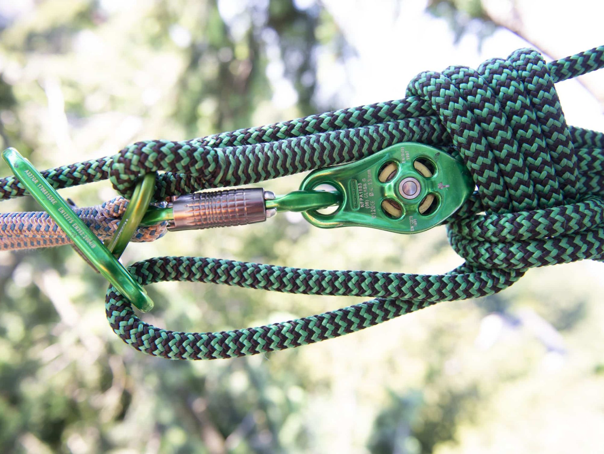 Advanced Arborist Training