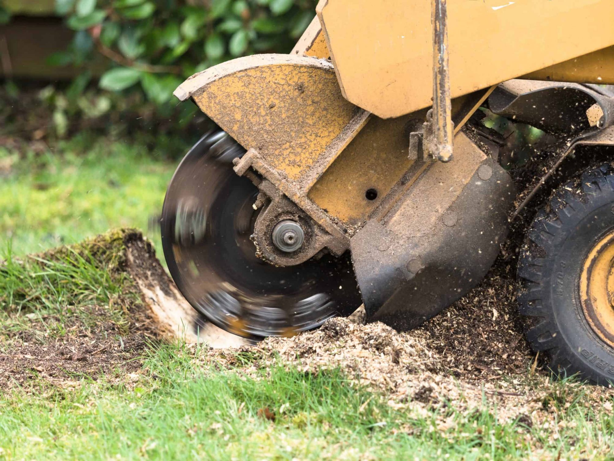 Stump Grinder Training Course